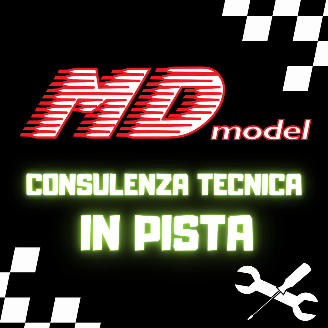Consulenza tecnica in pista