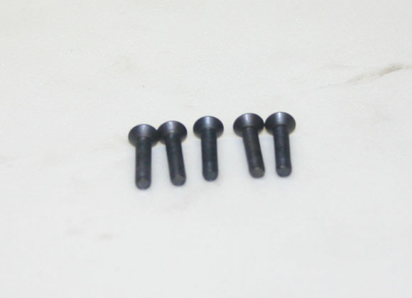 vite TSEI M3X14 mm DY01139 -