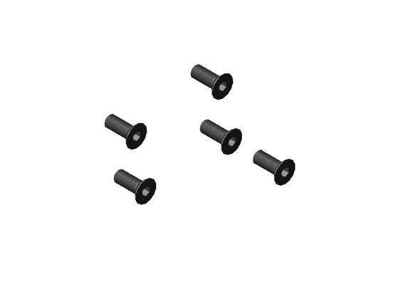 vite TSEI M5X10 mm DY01315 -