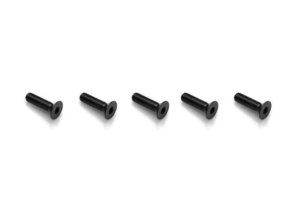 vite TSEI M5X14 mm EH1722 -